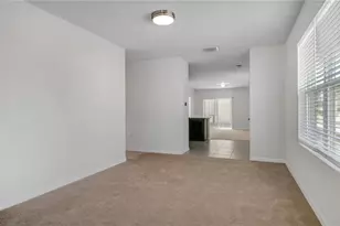 3503 Diamond Leaf Ct, Valrico, FL 33594 - Photo 6