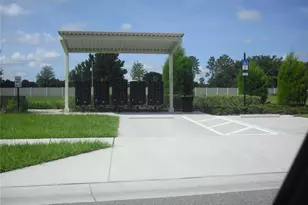 25195 Lambrusco Loop, Lutz, FL 33559 - Photo 4