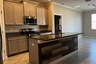 25195 Lambrusco Loop, Lutz, FL 33559 - Photo 8