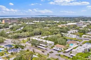 920 Virginia St, Dunedin, FL 34698 - Photo 16