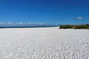 920 Virginia St, Dunedin, FL 34698 - Photo 22