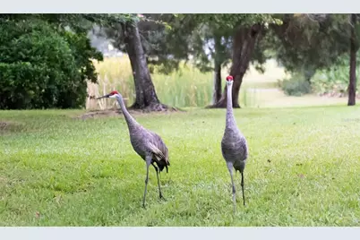 16116 Lytham Drive, Odessa, FL 33556 - Photo 42