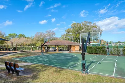 16116 Lytham Drive, Odessa, FL 33556 - Photo 30