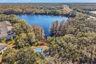 14217 Pondhawk Ln, Tampa, FL 33625 - Photo 42