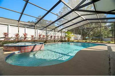 232 Pinecrest Drive, Palm Harbor, FL 34683 - Photo 28