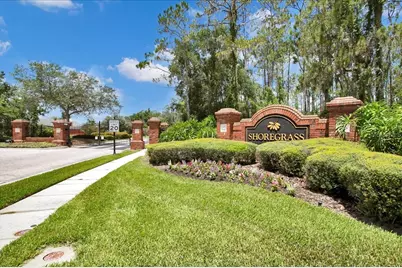 26451 Shoregrass Drive, Wesley Chapel, FL 33544 - Photo 68
