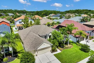 26451 Shoregrass Dr, Wesley Chapel, FL 33544 - Photo 80