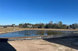 10026 Hidden Hammock Loop, Parrish, FL 34219 - Photo 32