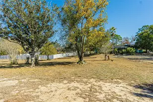 6056 Schalekamp Dr, Spring Hill, FL 34609 - Photo 24