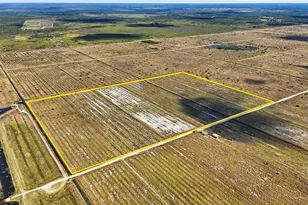 N River Rd, Alva, FL 33920 - Photo 4