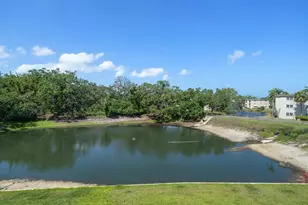 948 Virginia St, Dunedin, FL 34698 - Photo 14