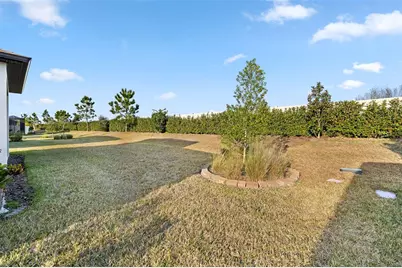 5957 Shorebird Branch, Land O Lakes, FL 34638 - Photo 32