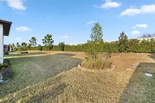 5957 Shorebird Br, Land O Lakes, FL 34638 - Photo 32