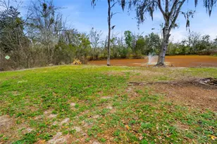 4718 Alpine Rd, Land O Lakes, FL 34639 - Photo 28