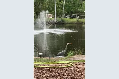 4718 Alpine Road, Land O Lakes, FL 34639 - Photo 26