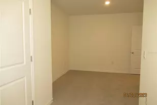 33062 Frosted Clover Wy, Wesley Chapel, FL 33545 - Photo 38