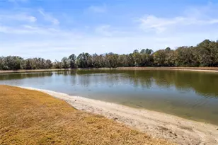 18406 Eastwyck Dr, Tampa, FL 33647 - Photo 86