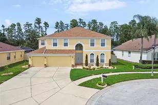 21511 Wilderness Lake Blvd, Land O Lakes, FL 34637 - Photo 2