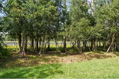 21511 Wilderness Lake Boulevard, Land O Lakes, FL 34637 - Photo 70