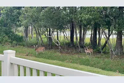 21511 Wilderness Lake Boulevard, Land O Lakes, FL 34637 - Photo 76