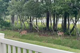 21511 Wilderness Lake Blvd, Land O Lakes, FL 34637 - Photo 76