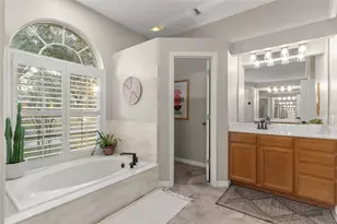 8204 Ginger Pine Way, Tampa, FL 33647 - Photo 12