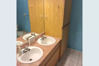 28800 Walker Drive, Wesley Chapel, FL 33544 - Photo 48