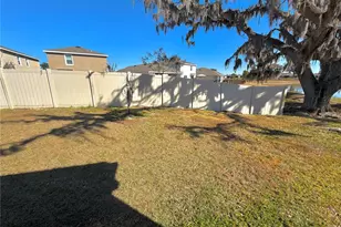 31115 Mango Fade Wy, San Antonio, FL 33576 - Photo 28