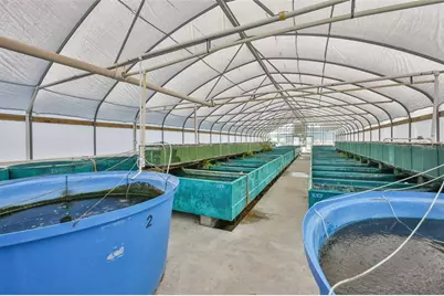 20112 Hobbs Road, Wimauma, FL 33598 - Photo 64