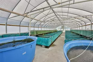 20112 Hobbs Rd, Wimauma, FL 33598 - Photo 64