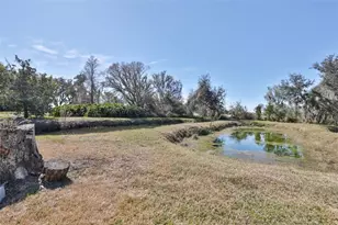 20112 Hobbs Rd, Wimauma, FL 33598 - Photo 86