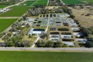 20112 Hobbs Rd, Wimauma, FL 33598 - Photo 88