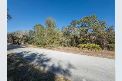 1737 E Westgate Lane, Hernando, FL 34442 - Photo 14