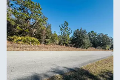 1737 E Westgate Lane, Hernando, FL 34442 - Photo 12