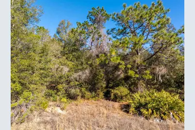 1737 E Westgate Lane, Hernando, FL 34442 - Photo 24