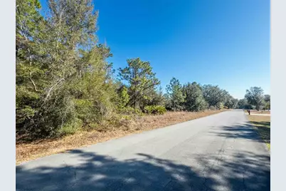 1737 E Westgate Lane, Hernando, FL 34442 - Photo 8