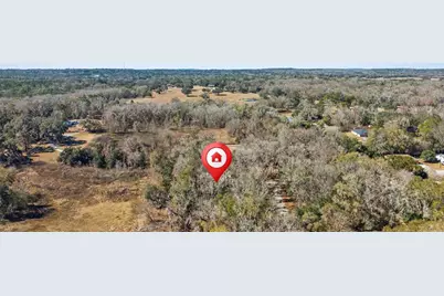 23126 Fitzhugh Avenue, Brooksville, FL 34601 - Photo 10