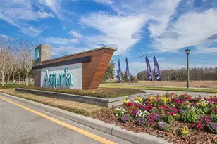 15416 Caravan Ave, Odessa, FL 33556 - Photo 32