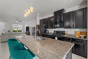 15416 Caravan Ave, Odessa, FL 33556 - Photo 10