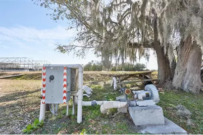 20112 Hobbs Road, Wimauma, FL 33598 - Photo 12