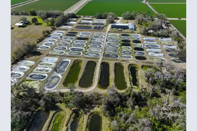 20112 Hobbs Road, Wimauma, FL 33598 - Photo 16