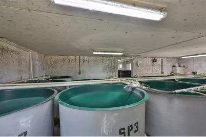 20112 Hobbs Road, Wimauma, FL 33598 - Photo 24