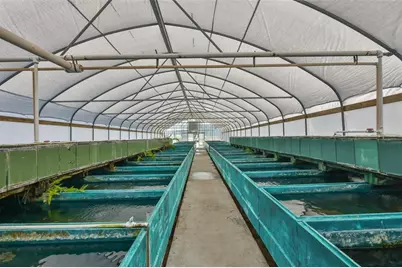 20112 Hobbs Road, Wimauma, FL 33598 - Photo 28