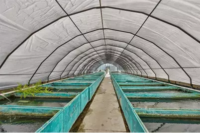 20112 Hobbs Road, Wimauma, FL 33598 - Photo 34