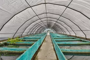 20112 Hobbs Rd, Wimauma, FL 33598 - Photo 34