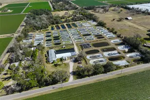 20112 Hobbs Rd, Wimauma, FL 33598 - Photo 6