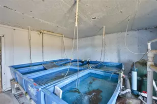 20112 Hobbs Rd, Wimauma, FL 33598 - Photo 26