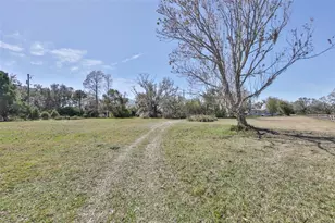 20112 Hobbs Rd, Wimauma, FL 33598 - Photo 54