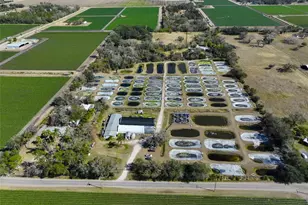 20112 Hobbs Rd, Wimauma, FL 33598 - Photo 4