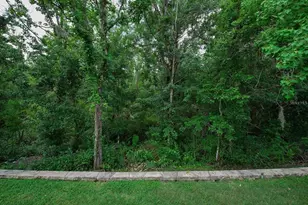 5050 Silver Charm Terrace, Wesley Chapel, FL 33544 - Photo 42